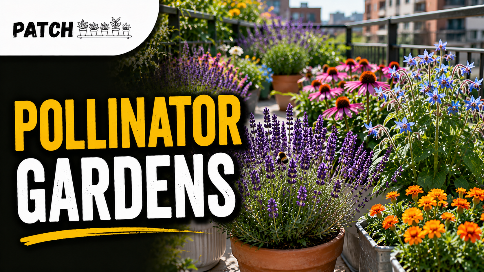 Pollinator-Friendly Plants for Urban Outdoor Spaces