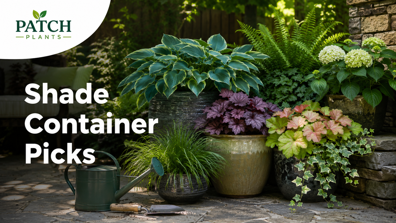 Container Garden Plants for Shade: 19 Strong Options