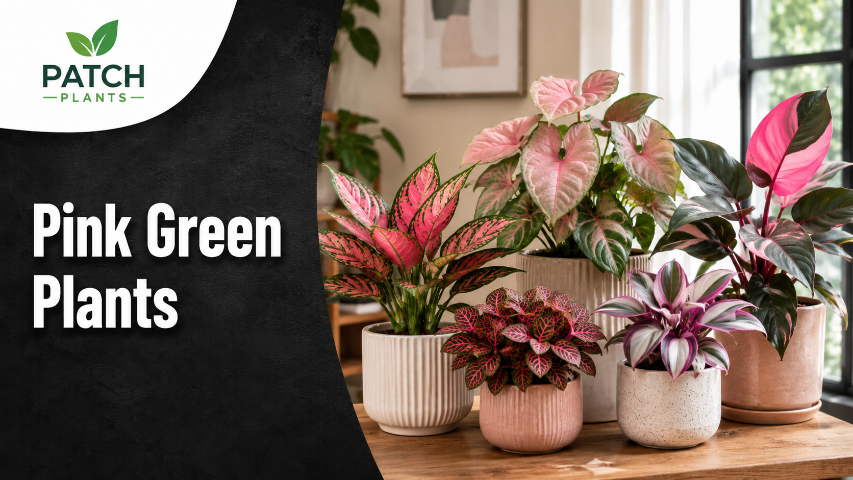 Pink Green Plants in Bloom